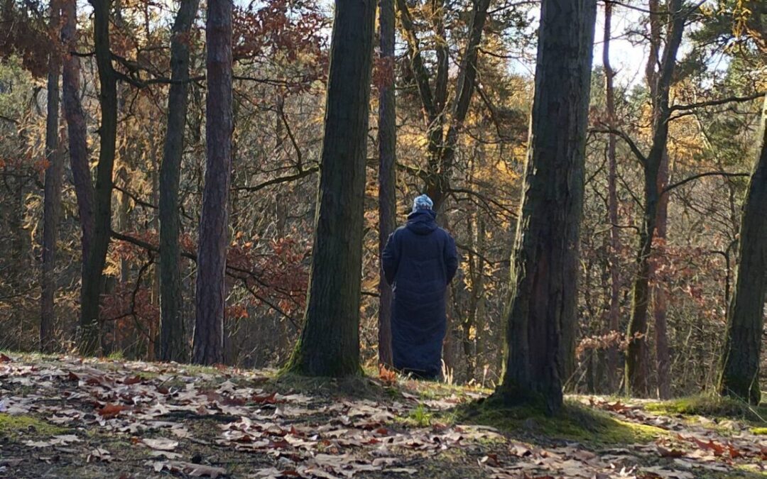 Ven k sobě: nalézání celistvosti